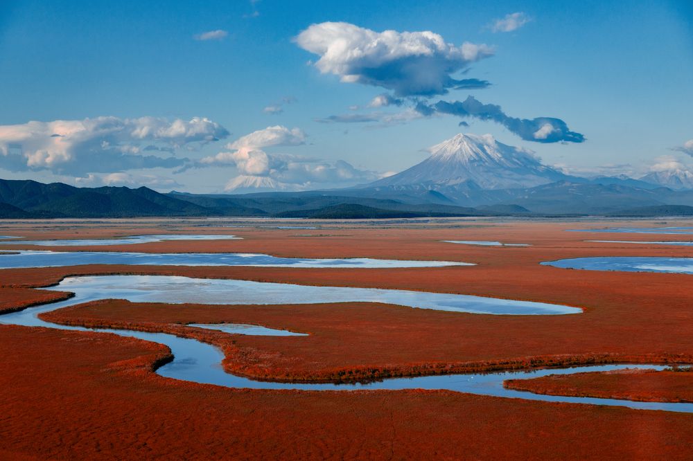 Photograph by Ольга Янкавцева