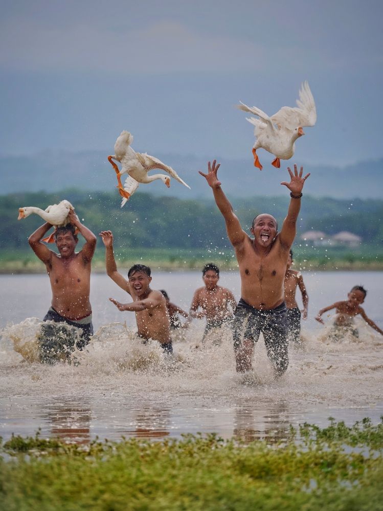 Фотография автора Henri Fitriadi