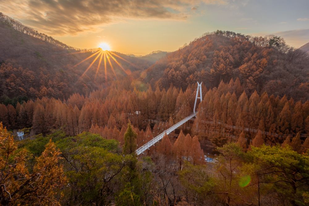 Фотография автора NGUYEN XUAN BAC