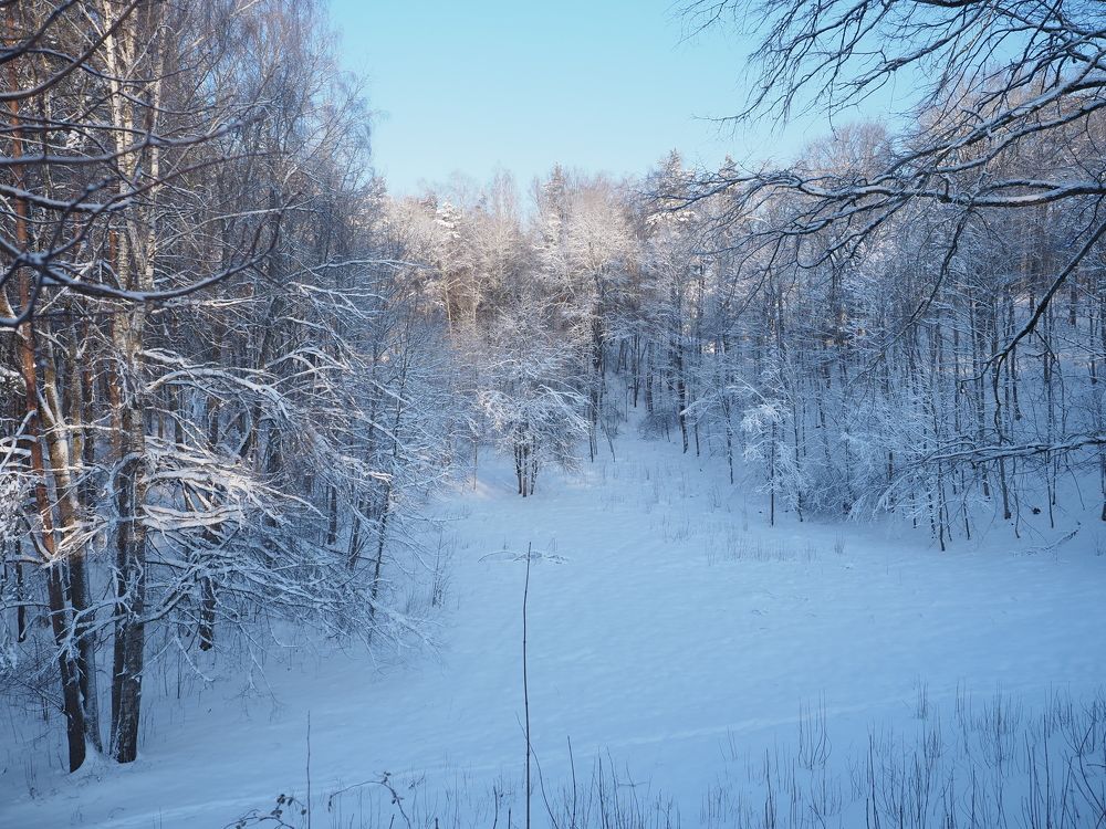 Photograph by Алексей Гнедовский