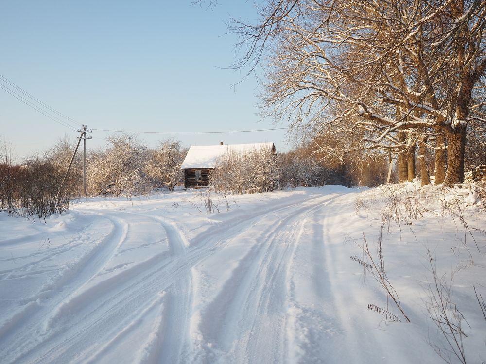 Photograph by Алексей Гнедовский