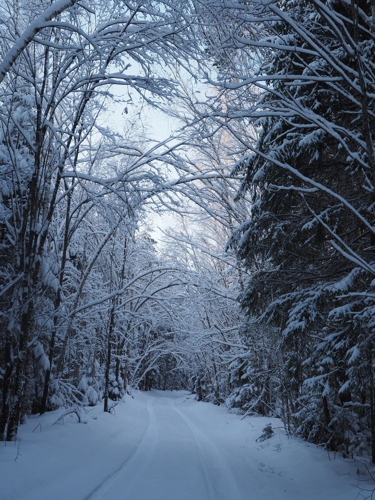 Photograph by Алексей Гнедовский