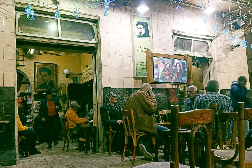 Photo #10087646