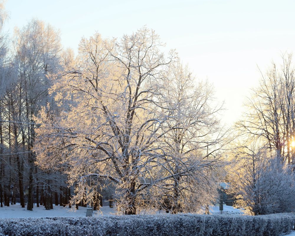 Photograph by Андрей Михайлин