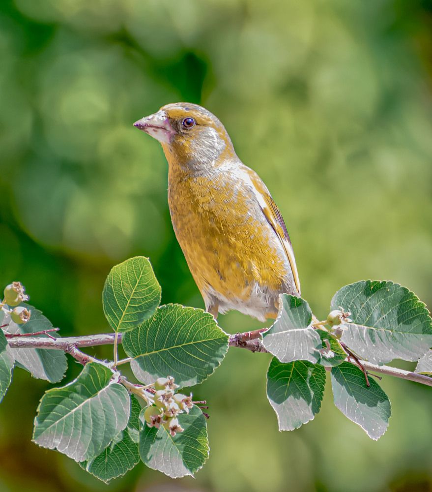 Photograph by Сергей