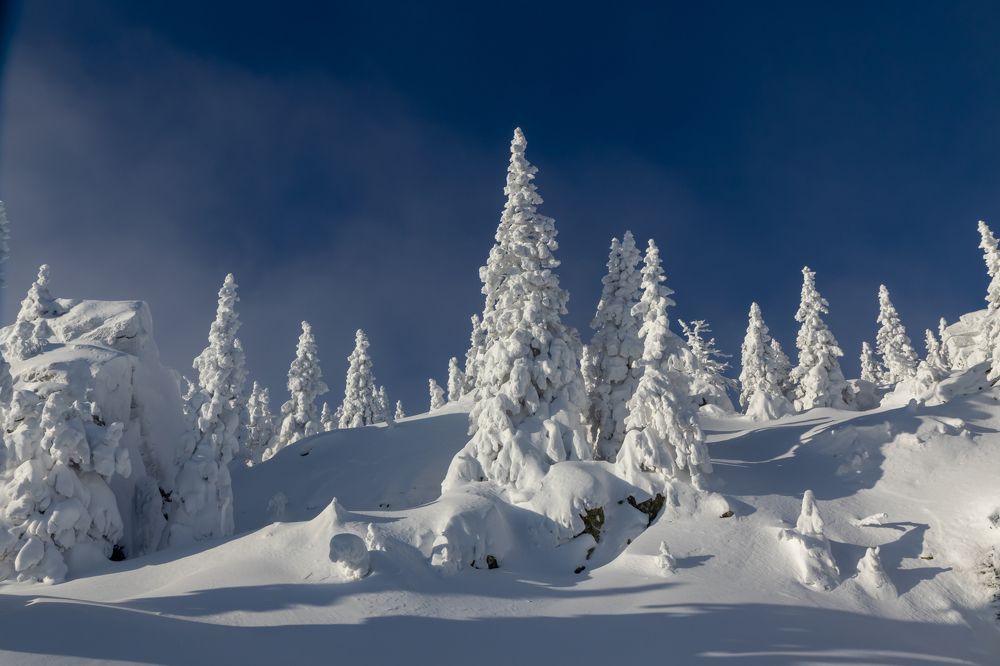 Photograph by Анастасия Тараканова