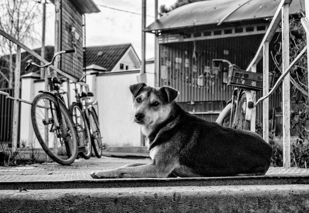 Photograph by Вадим Голосницкий