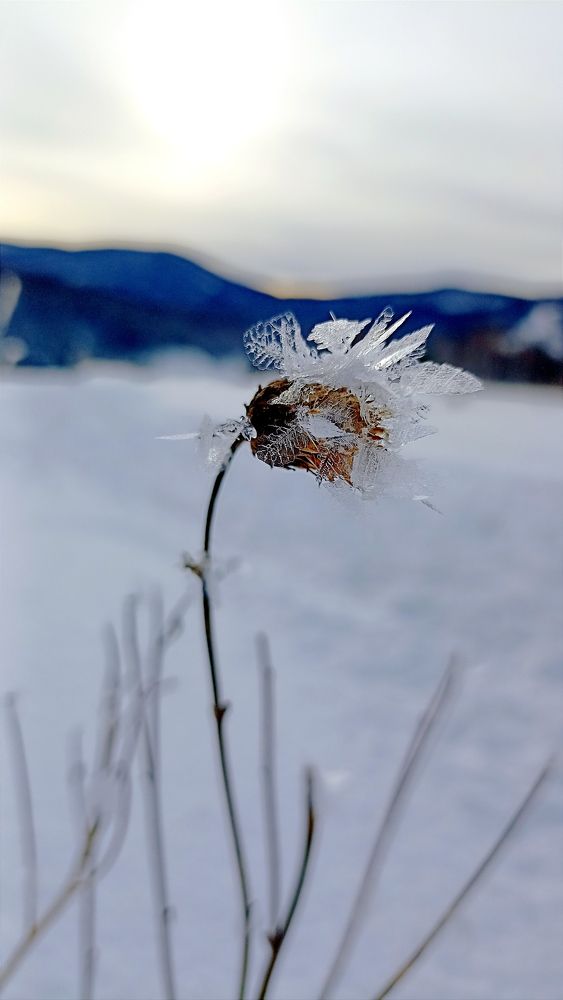 Photograph by Олеся Лосыгина