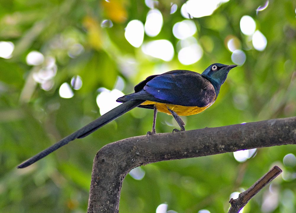 Photograph by Игорь Зиновьев