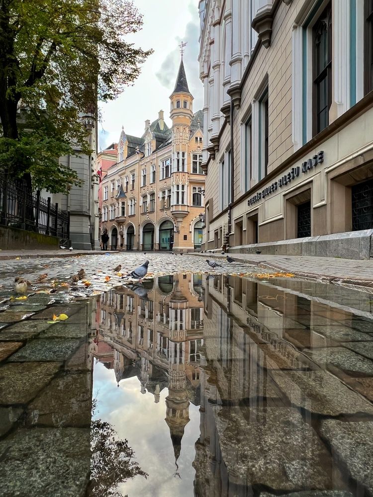 Photograph by Ингрида Кузнецова