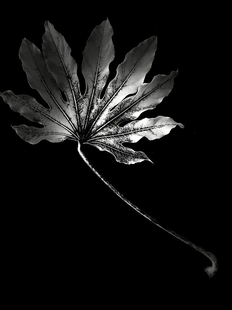 Photograph by Ингрида Кузнецова