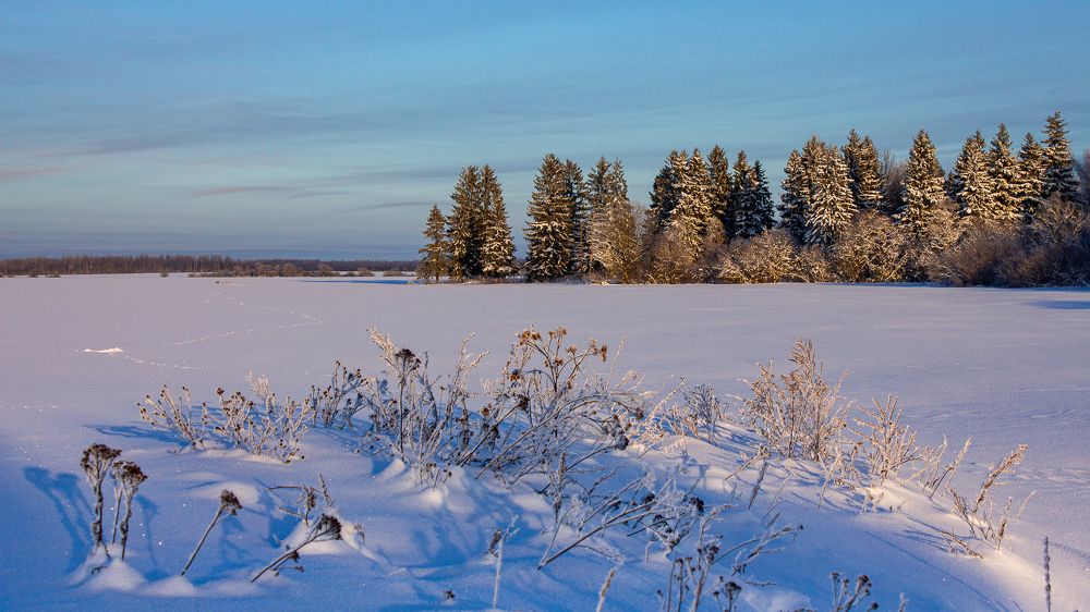 Photograph by Vera Komarova