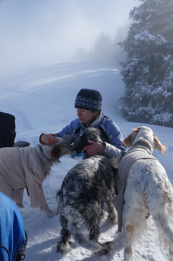 Photograph by фид зон