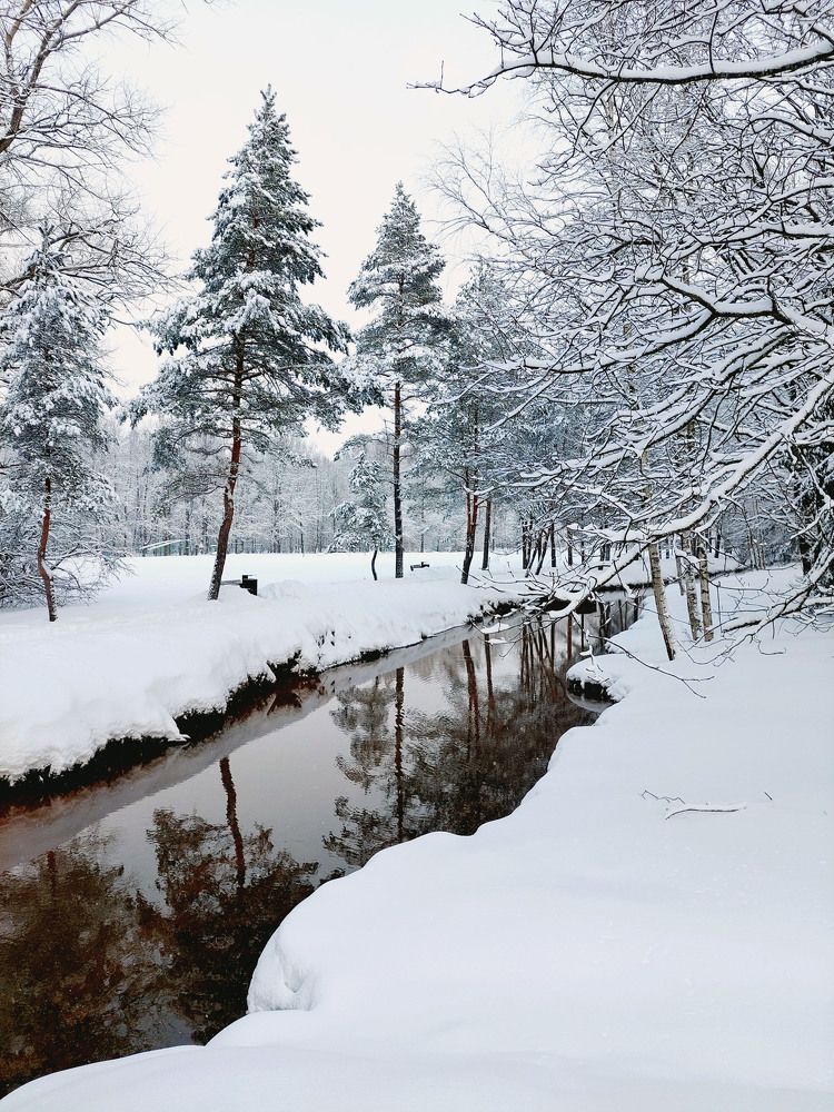Photograph by Ирина Румянцева