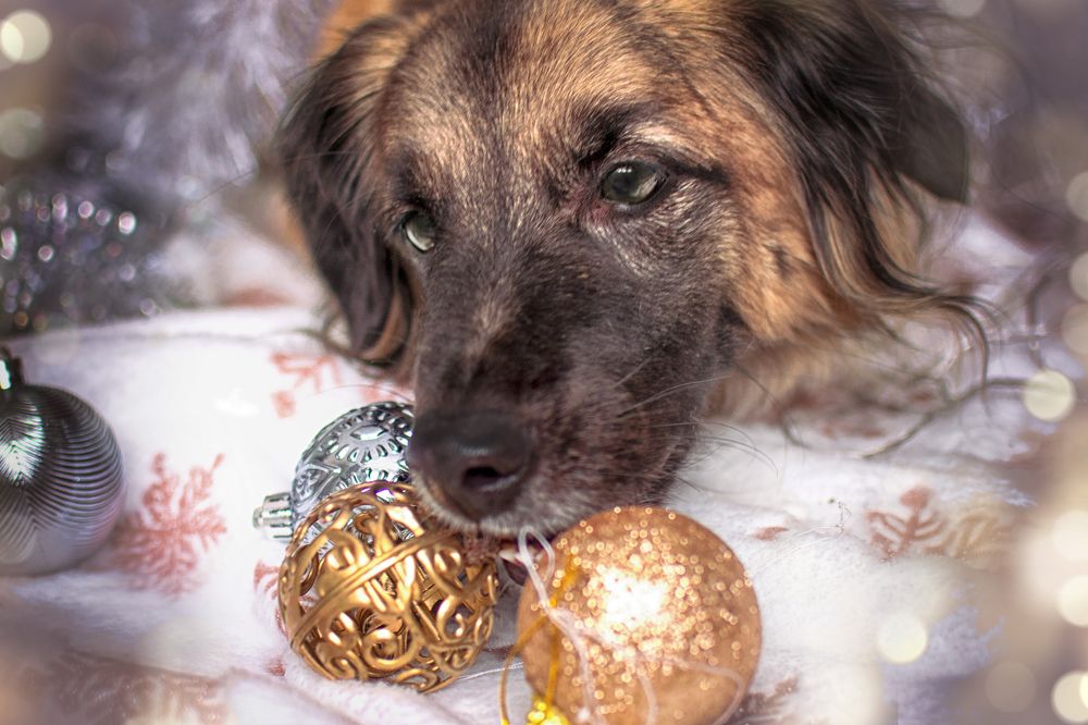 Photograph by Альфия Агзами