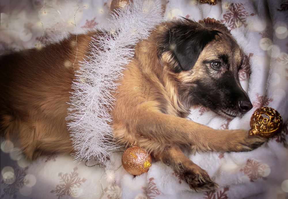 Photograph by Альфия Агзами