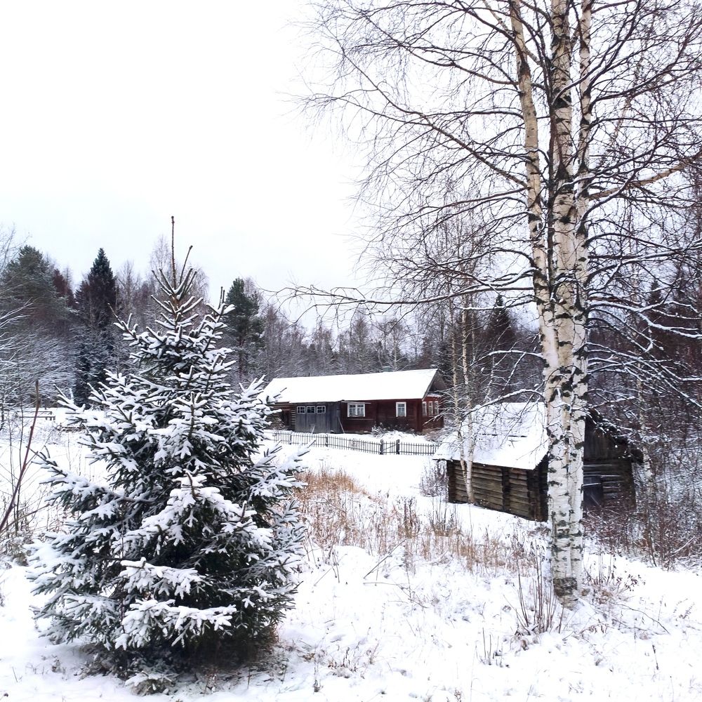 Photograph by Скорняков