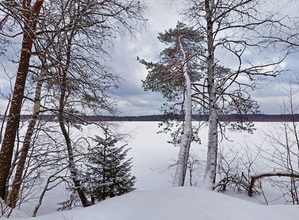 Photograph by Ирина Румянцева