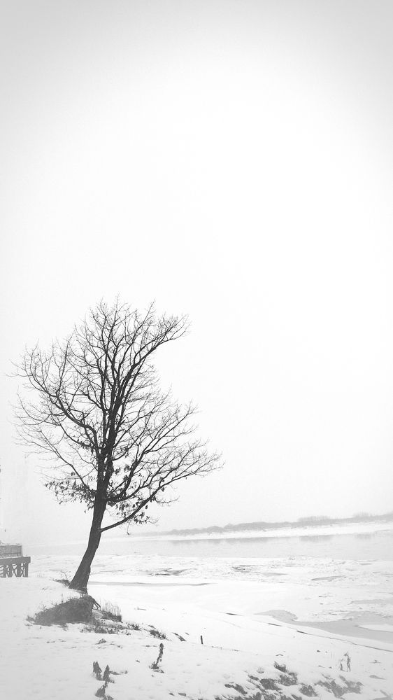 Photo #10088140