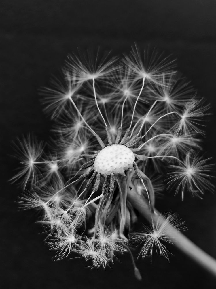 Photograph by Ингрида Кузнецова