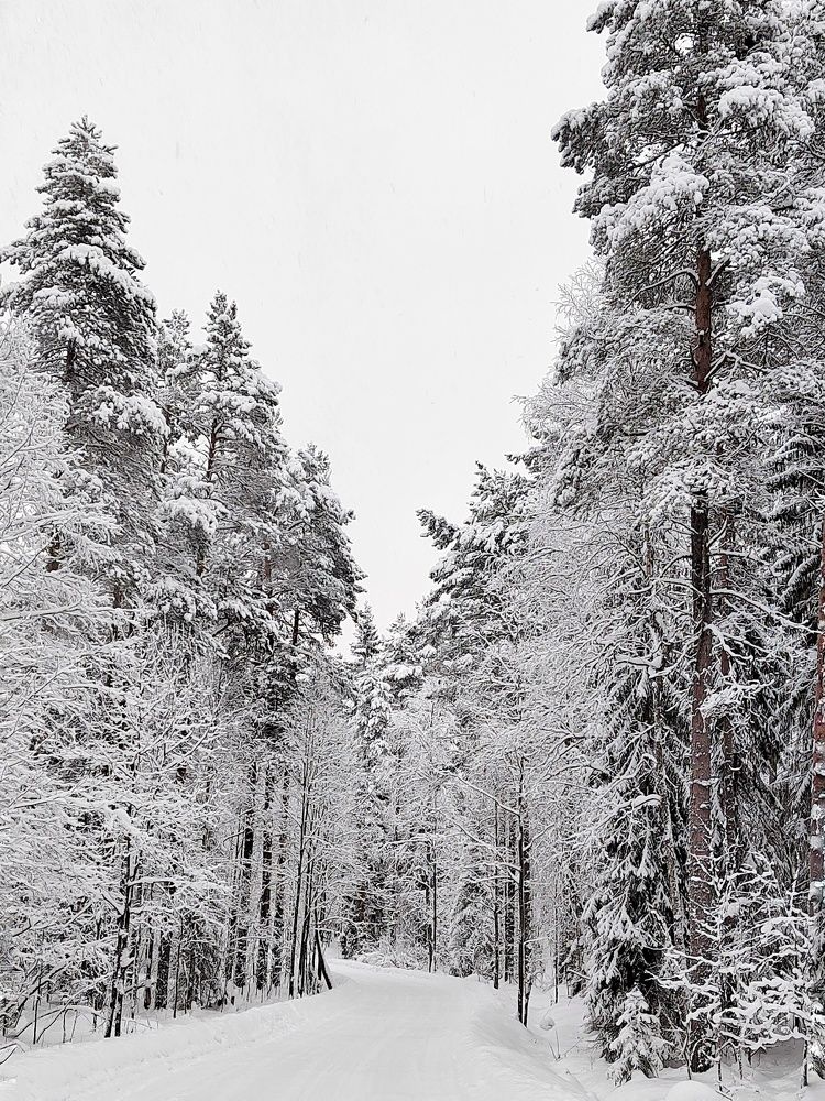 Photograph by Наталья Горовых