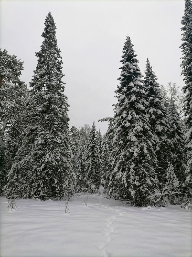 Photograph by Оксана Кабакова