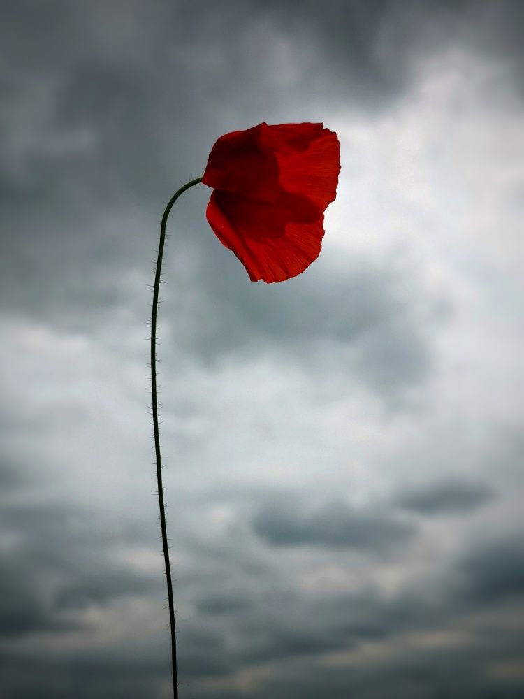 Photograph by Ингрида Кузнецова