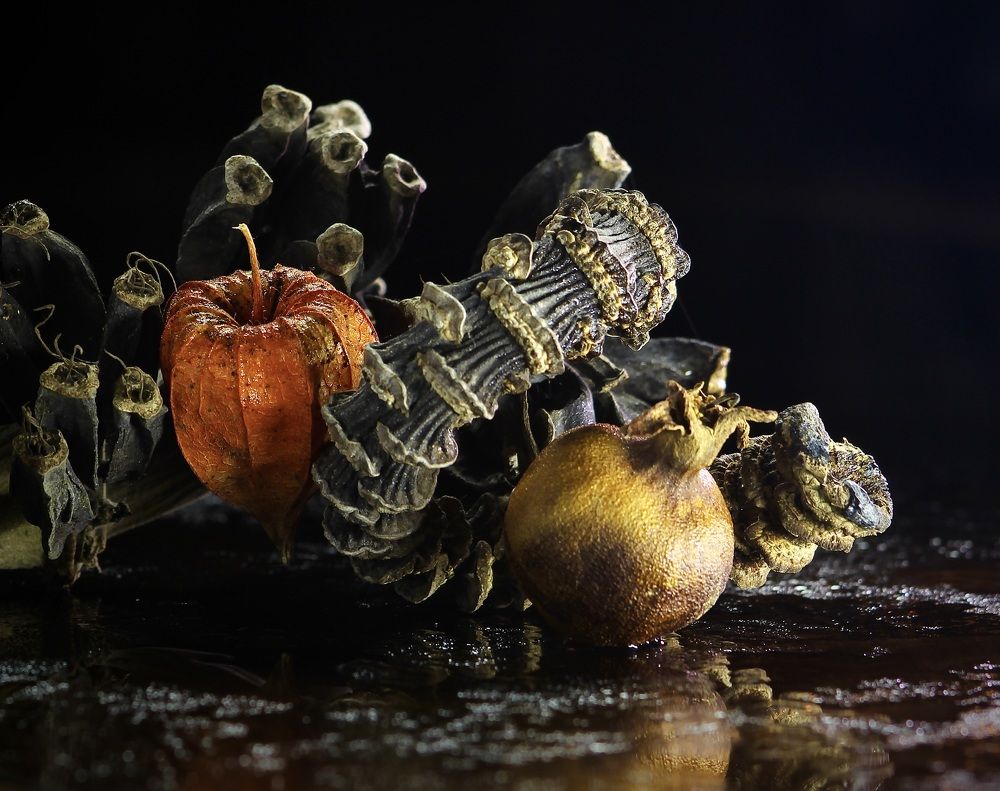 Photograph by Александр