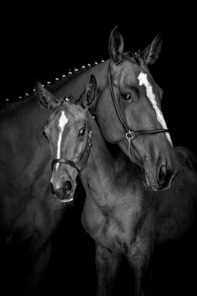 Фотография автора Camilla Cintra