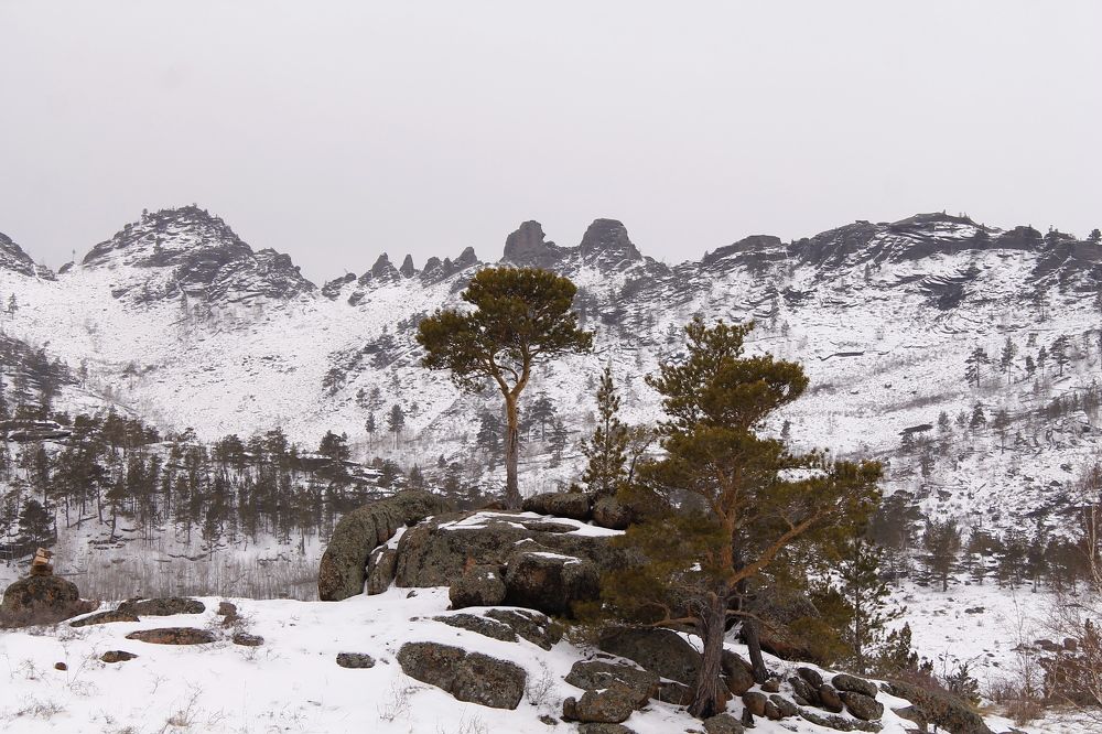 Photograph by Елена Глухарева