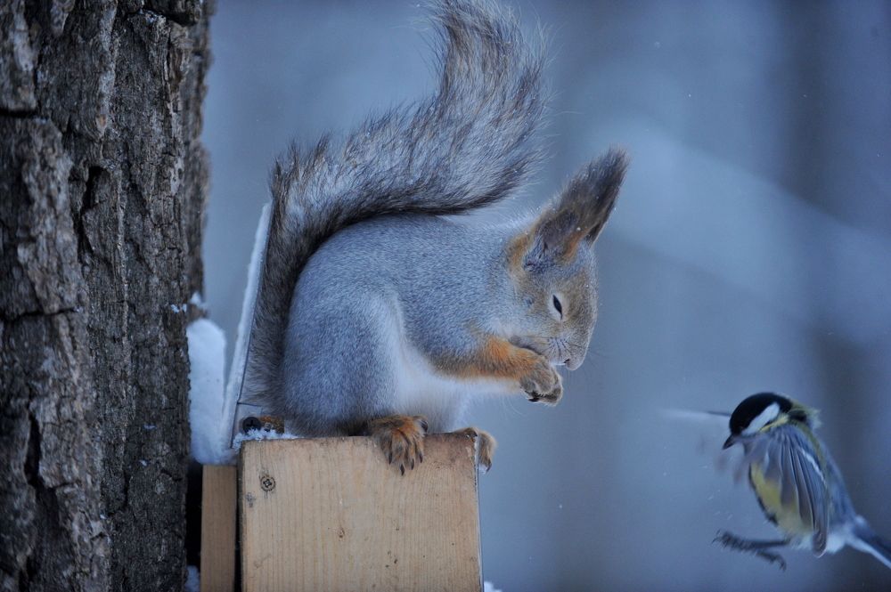 Photograph by Алексей Козлов