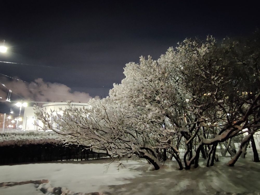 Photograph by Екатерина