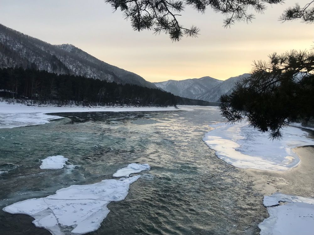 Фотография автора Наталья Пасечко