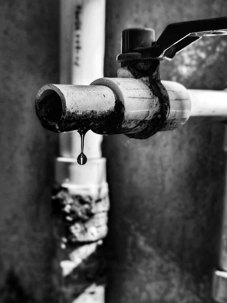 Drop of life
