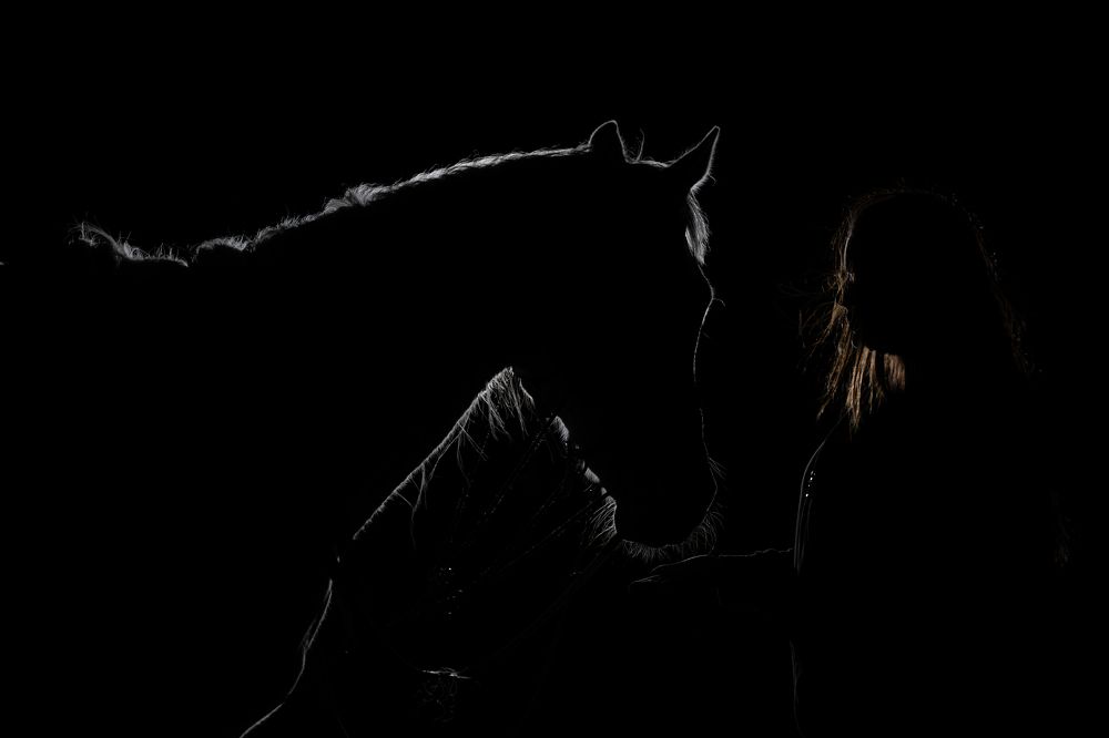 Photograph by Mustafa Şahin