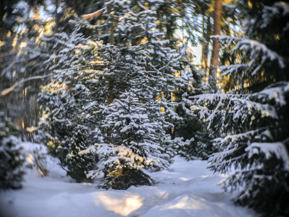 Photograph by Александр Журавлев