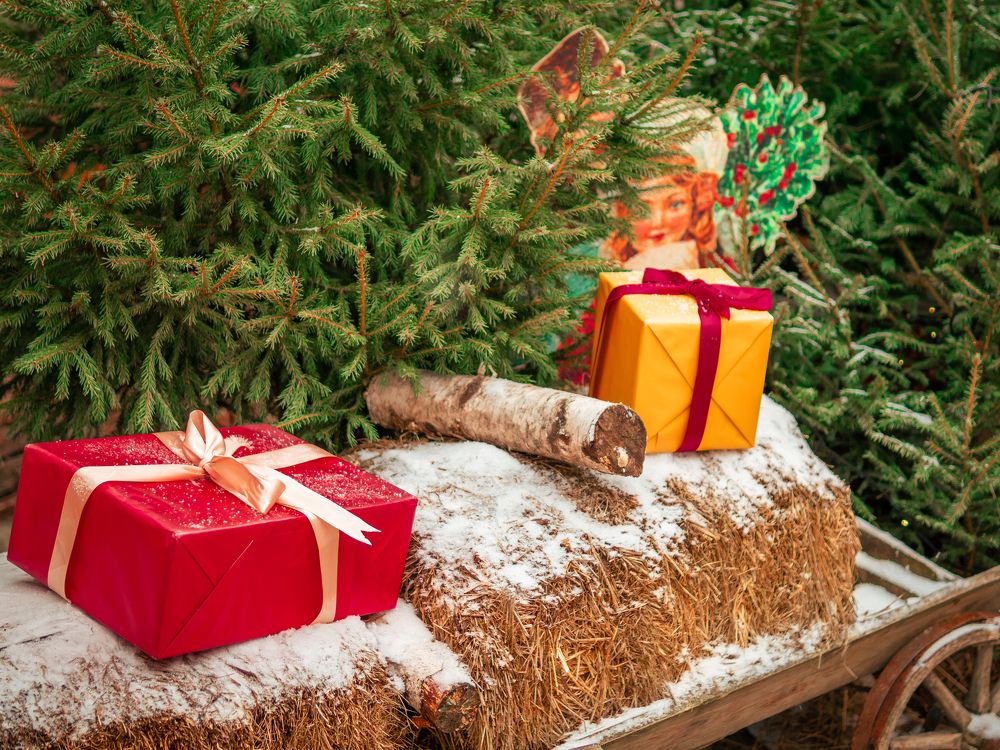 Photograph by Ярослав Изотов