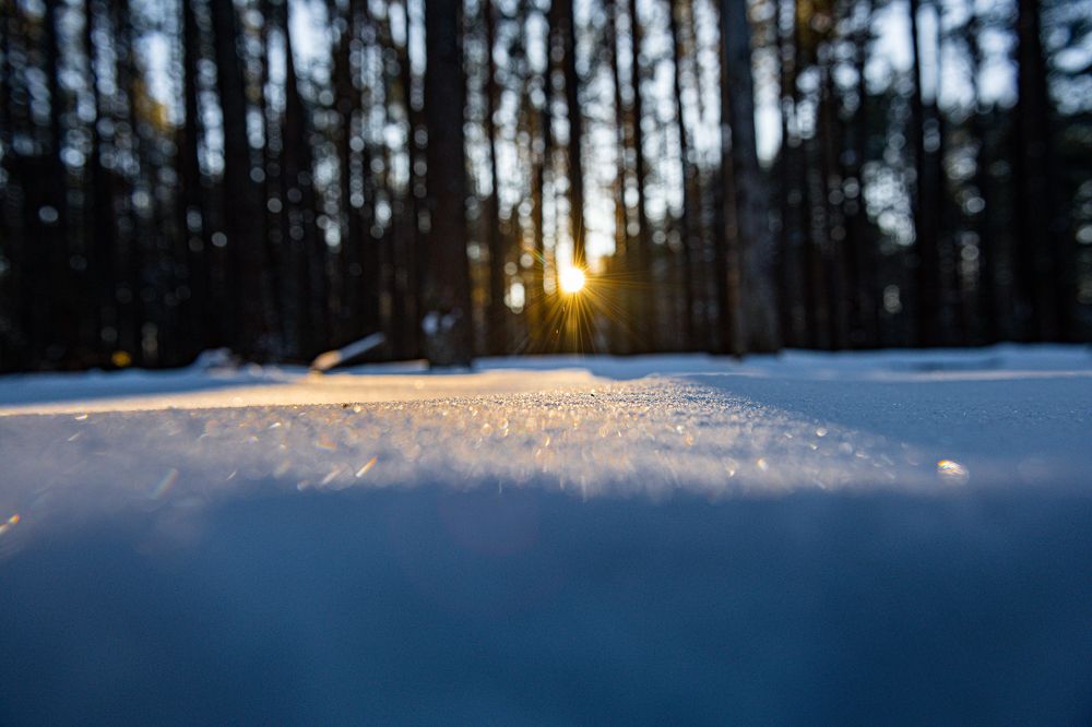 Фотография автора Григорьев Алексей