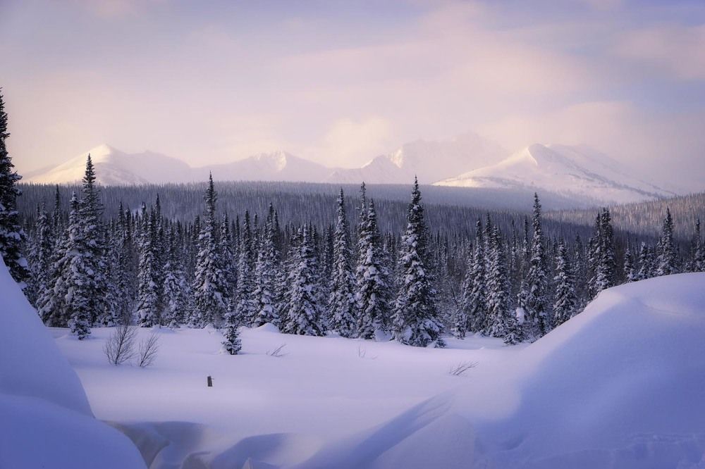 Фотография автора Татьяна Добровольская