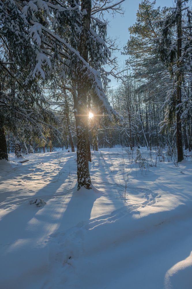 Фотография автора Григорьев Алексей
