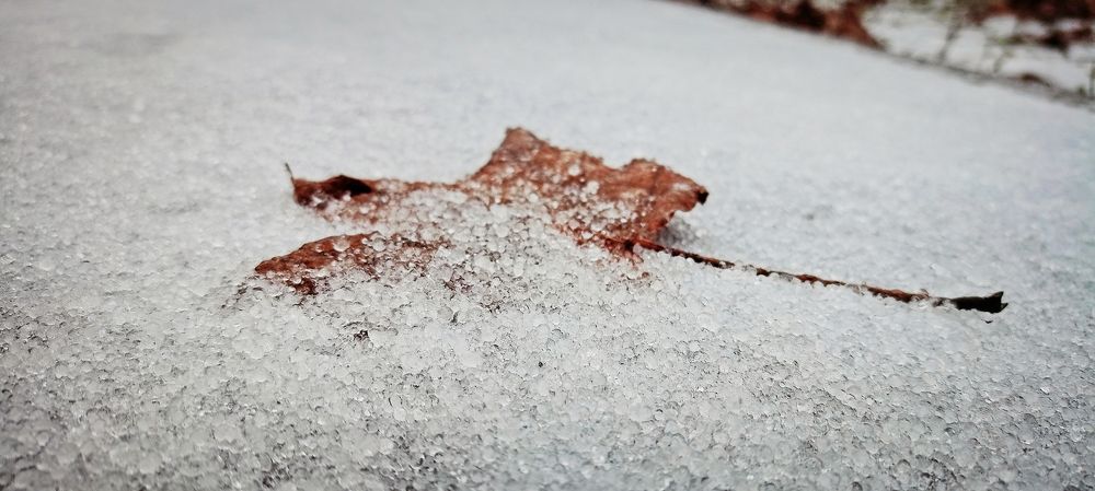 Photograph by Надежда