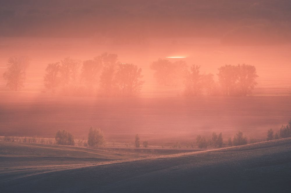 Photograph by Даниил Силантьев