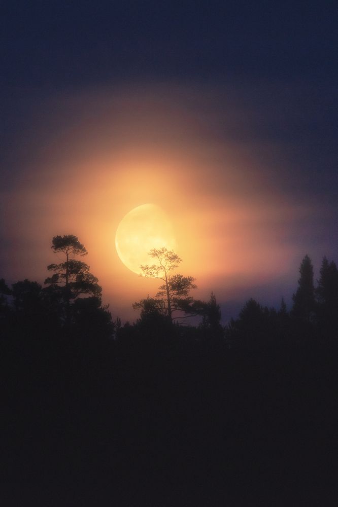 Photograph by Даниил Силантьев