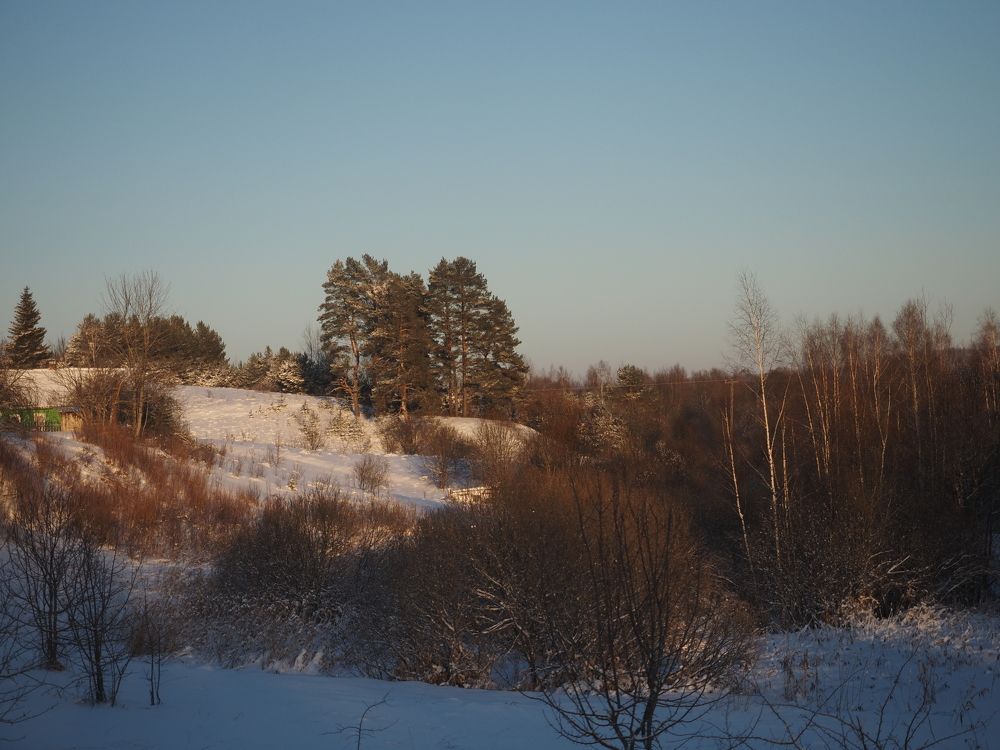 Photograph by Алексей Гнедовский