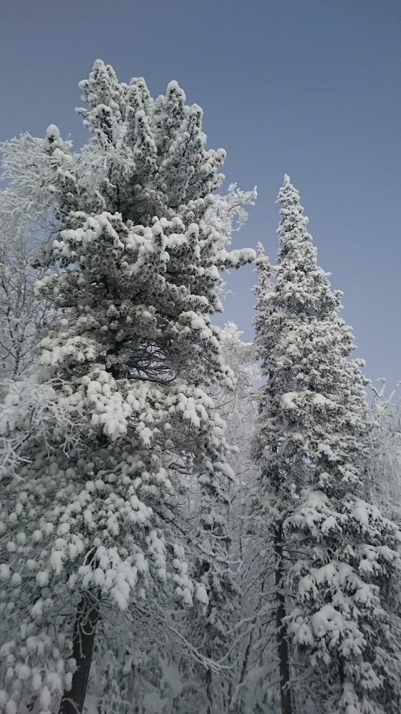 Photograph by Ольга Милованова