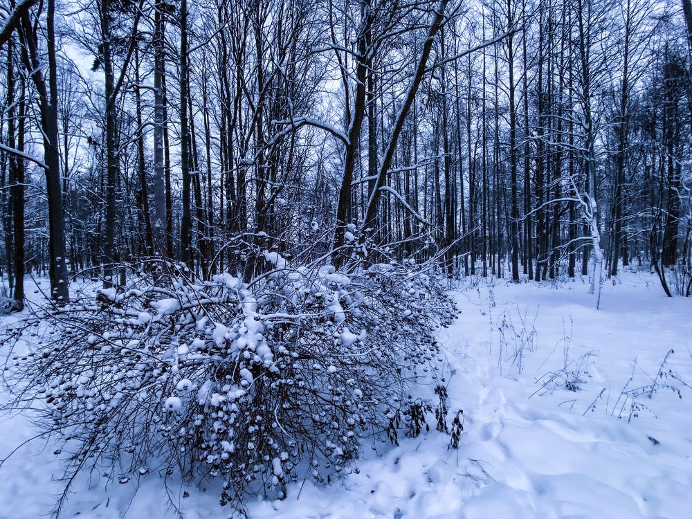 Photograph by Svetlana