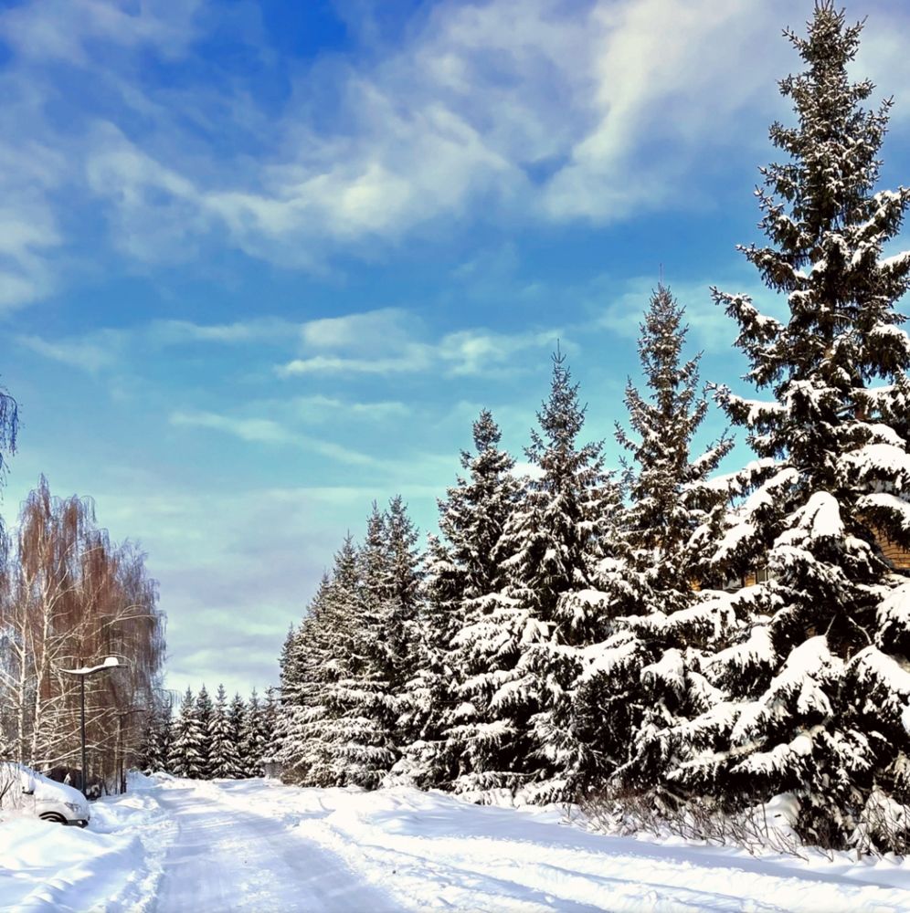 Photograph by Татьяна Мустафина