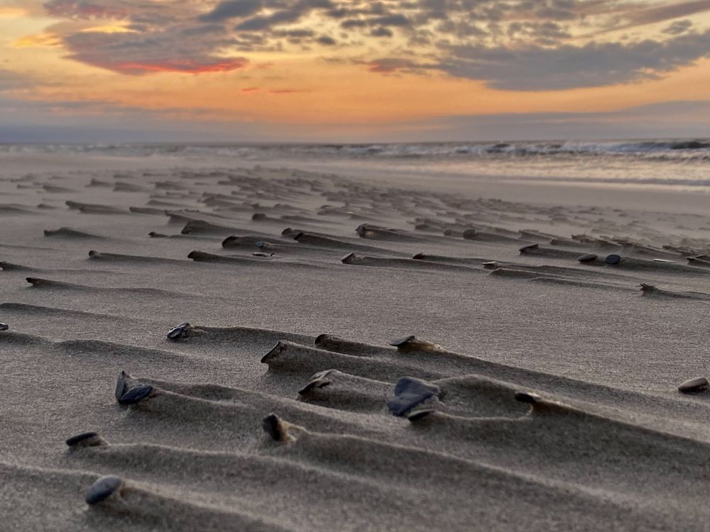 Photograph by Ирина Коваль