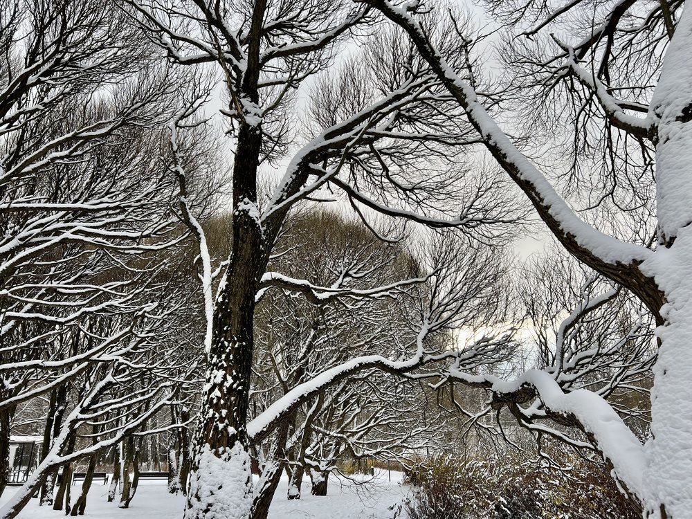 Photograph by Ирина