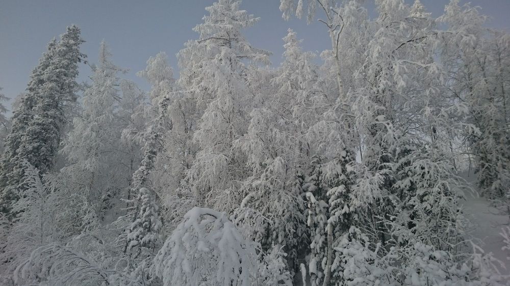 Photograph by Ольга Милованова